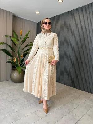 Guipure Lace And Chiffon Dress